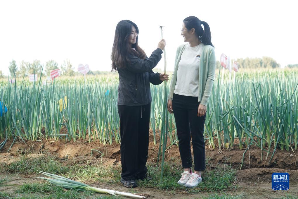 游戏app收款用那个平台好